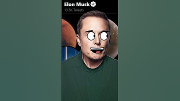 To The Moon! Elon Musk Accepts Dogecoin for Tesla Merchandise