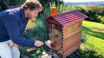Beginner beekeepers Q&A with Cedar