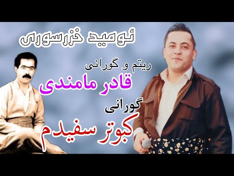امید خصرسوری فارسی گورانی قادر مامندی کبوتر سفیدم Omid Xzrsuri Gorani Qader Ammandi