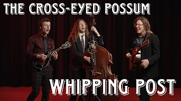 The Cross-Eyed Possum - Whipping Post (Official Music Video)