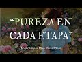 PLATICA IV- Pureza en cada etapa.