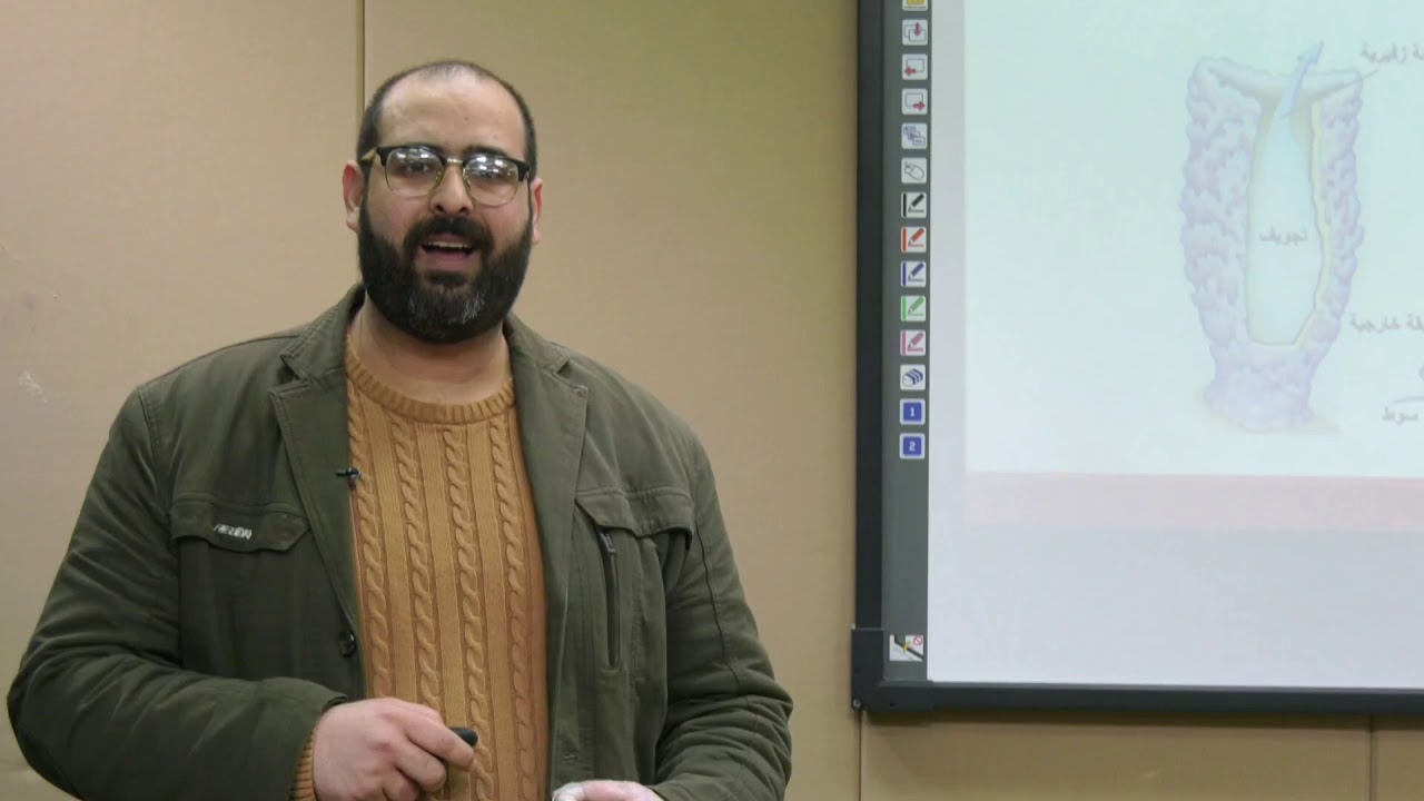 تصنيف مملكة الحيونات 1( الاسفنجيات ، اللاسعات، الديدان) | العلوم الحياتية | الصف الحادي عشر علمي