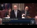 New York State Senate Session - 03/05/2024
