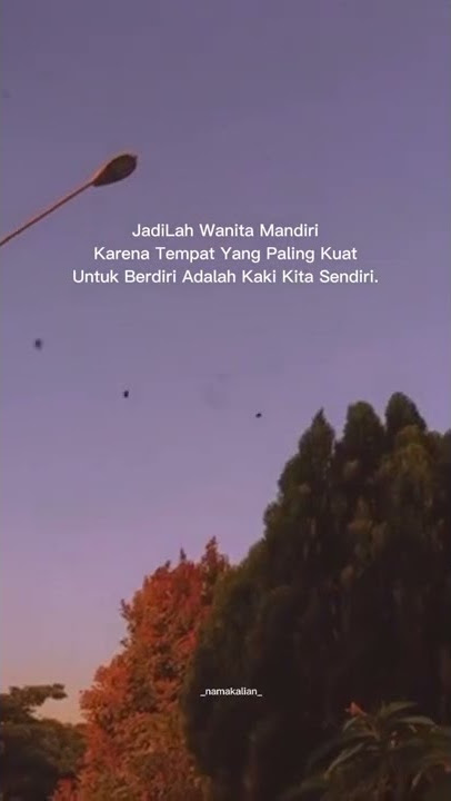story'WhatsApp terbaru story'wa jadilah wanita mandiri viral tiktok