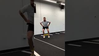 Monster Walk Lateral