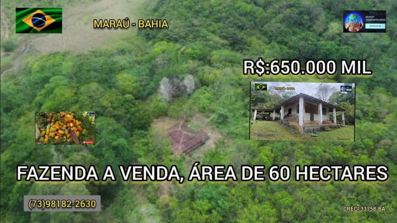 Linda propriedade a venda na zona rural de Maraú na Bahia, área de 60 hectares por R$: 650.000 MIL.