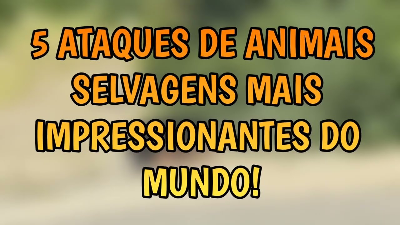 5 ATAQUES DE ANIMAIS SELVAGENS MAIS IMPRESSIONANTES DO MUNDO - YouTube