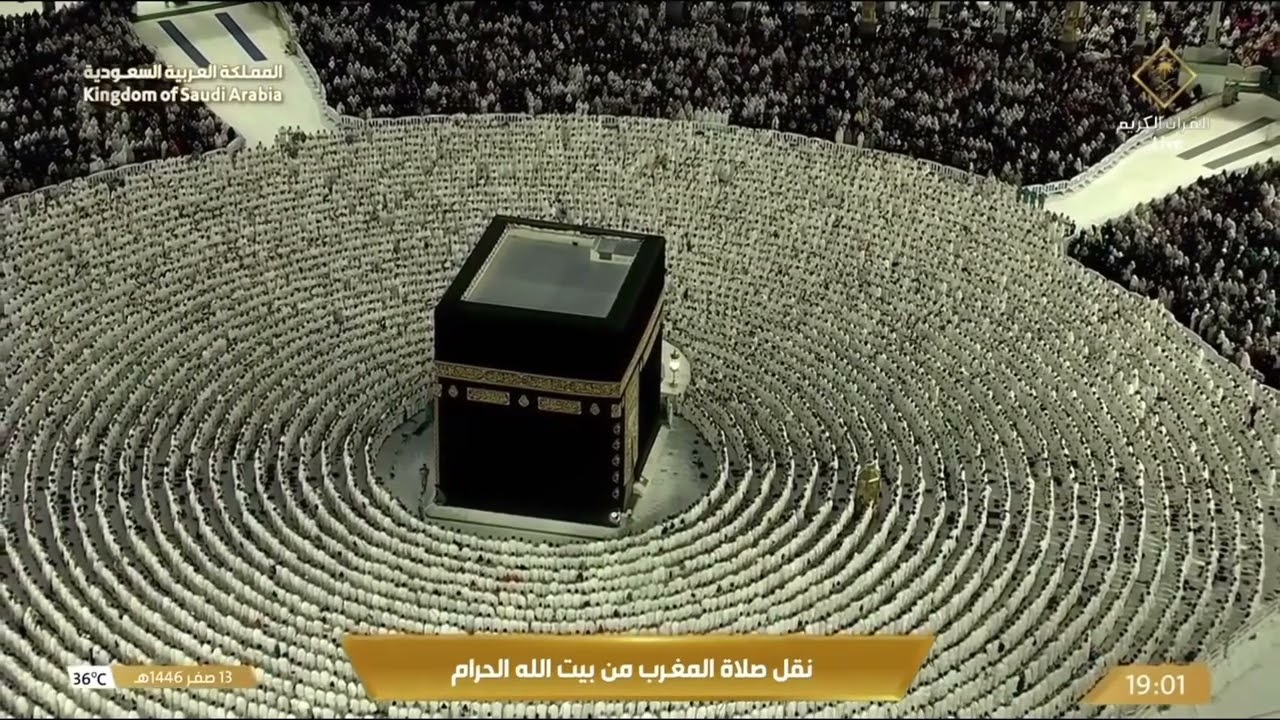 صلاة المغرب للشيخ فيصل غزاوي 13 صفر 1446هـ
