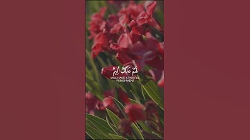 سورة النور الشيخ ماهرالمعيقلي (إِنَّ الَّذِينَ يُحِبُّونَ أَن تَشِيعَ الْفَاحِشَةُ...)  #قرآن