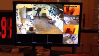 FOX IN A BOX - Gioco di fuga dalla stanza screenshot 4