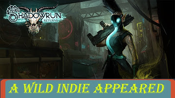 Indie Spotted - Shadowrun Returns