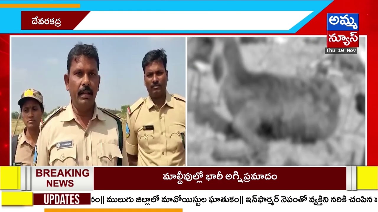 మహబూబ్‌నగర్‌లో  గొర్రెలపై చిరుత దాడి..!  | Leopard Attack on Sheep | Amma News