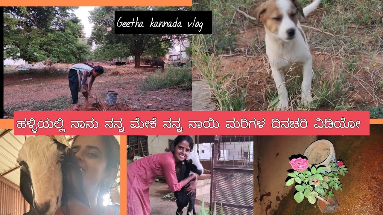 ನಾನು ನನ್ನ ಮೇಕೆ,🐐🐕ನಾಯಿ ಮರಿ ದಿನಚರಿ ವಿಡಿಯೋ 🛖/villege daily lifestyle Vedio/kannada/viral Vedio