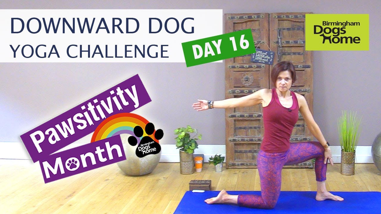 Downward Dog Yoga Nhs Downward Dog Yoga Nhs