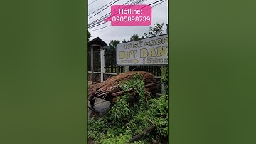 Đất nhà vườn MT Nguyễn Thị Rành, Củ Chi.