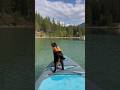 I took my cat paddle boarding! 🐈‍⬛💦🌲#vanlife #cats #cat #