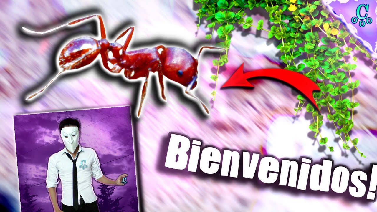 La MAGIA de las HORMIGAS - Mirmecología / Antkeeper || Csrxplay Life