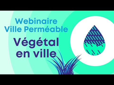 Webinaire Ville perméable - Végétal en ville