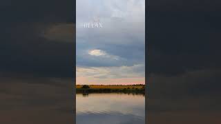 Природа. Донецька область. Прогулянка. #донецькаобласть #природа #україна