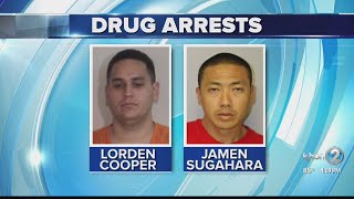Maui drug bust