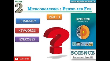 Microorganisms Friend And Foe, Part 3, Science Class 8, NCERT BOOK, SUMMARY, KEYWORDS, EXERCISES.