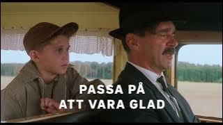 Passa på att ha roligt nu