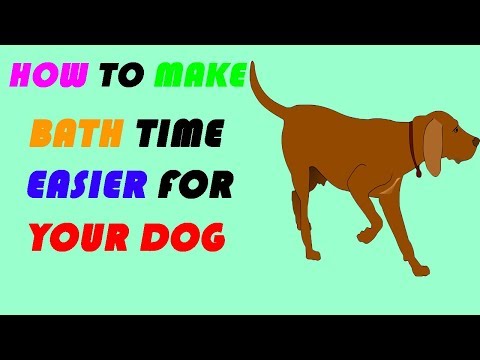how-to-make-bath-time-easier-for-your-dog