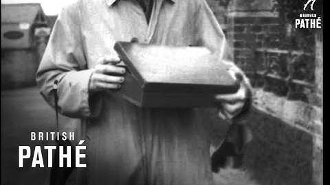 Keeping Gloves Issue Title Is Here