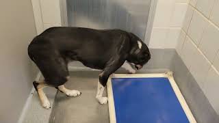 acs A659177