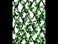 Expandable Faux Privacy Fence for Backdrop, Garden, Patio and Home Decor