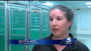 More than 160 cats, dogs adopted during event at OKC Animal Shelter