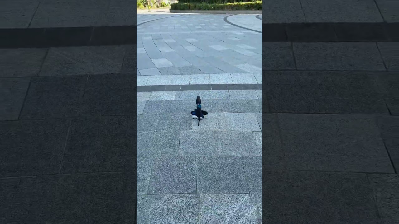 Eng Sub Girl Rules EP3 14 - YouTube Auto PHP Script