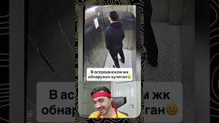 Когда спокойствие сильнее любых слов 🌍💡