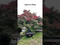 Village Life #shorts #shortvideo #short #japan #travel #viral #japantravel #village