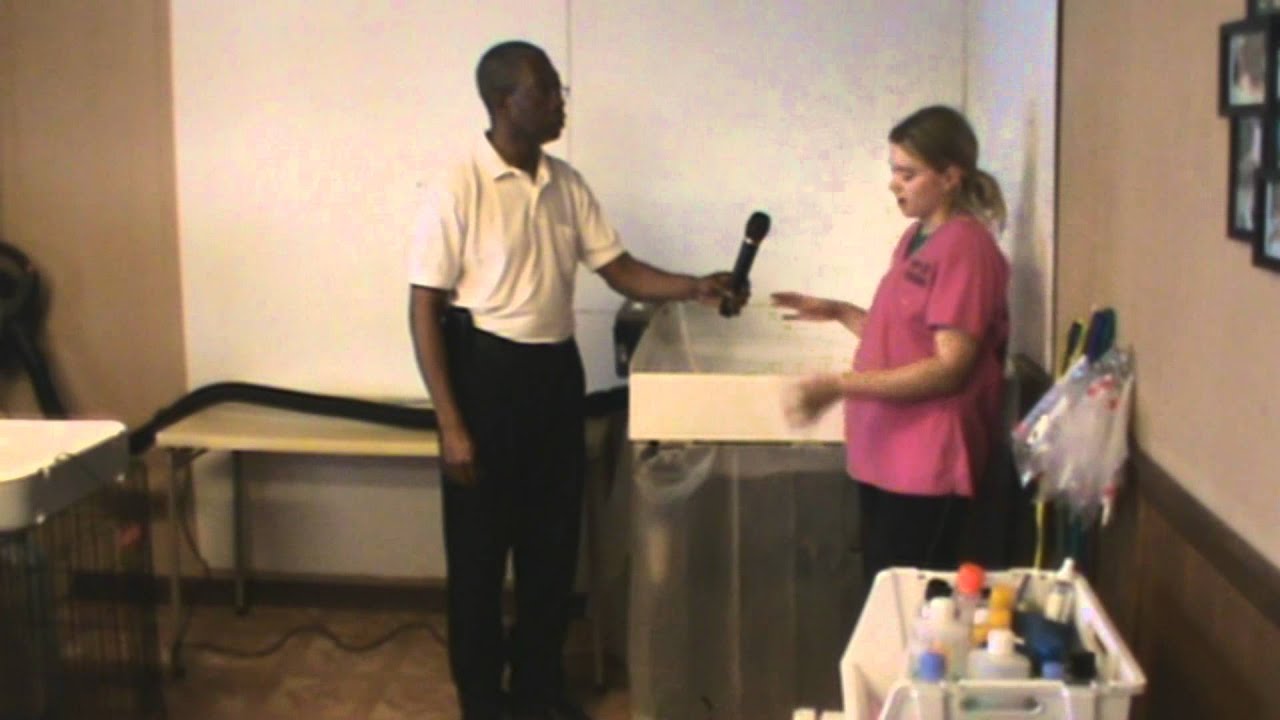 Puppy Love Pet Grooming Commercial YouTube