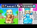 DIRT PEASANT to DIAMOND PRINCESS in Minecraft!