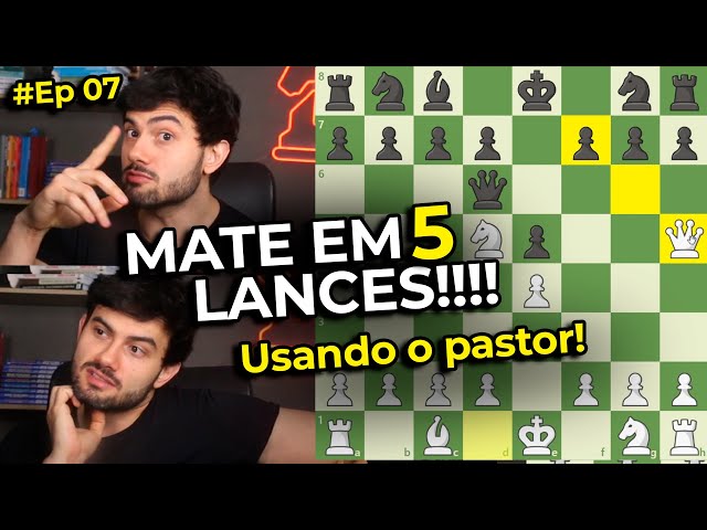 Mate Del Pastor Paso A Paso