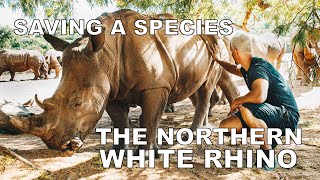 Dean Schneider - Saving The Northern White Rhino