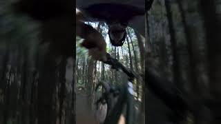 Portland’s Best MTB Trails?
