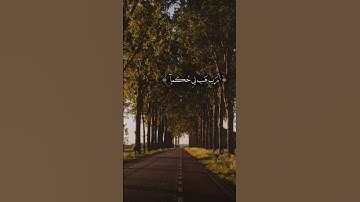 القارئ اسلام صبحي /اكتب شيء تؤجر عليه/اجر لي ولكم