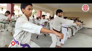 Celebrity Basic Punch - Shito-ryu Karate School Net Worth
