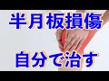 【半月板の真実】半月板損傷と言われた方は必ず見てください