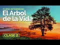 El Arbol de la Vida - Clase 2 - Curso intermedio