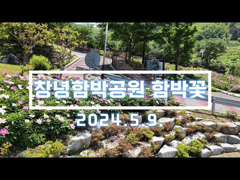 함박공원