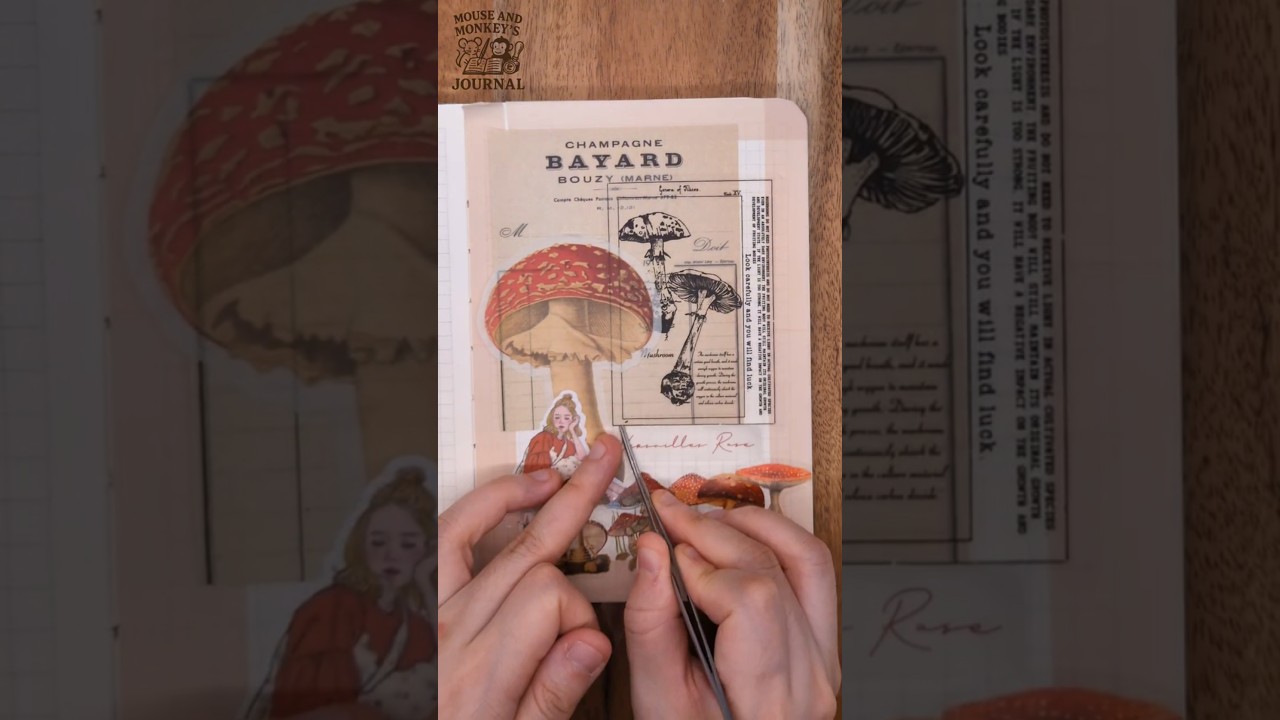 Relaxing ASMR Mushroom Collage 🍄 Vintage Journaling | Cozy Sticker Layering | 