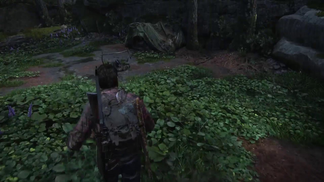 Last of us play through