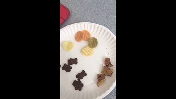 Augmented and Alternative Communication Systems Video