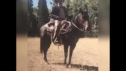 Corrido de Ismael Alemn