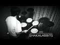 【SHAKALABBITS】GO 叩いてみた