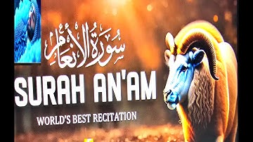 Surah Al An am  سورة الأنعام    Heart touching really beautiful voice   Listening Quran123 720p